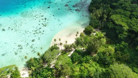 French Polynesia Scenery, Drone View of Remote Secluded Beach, Turquoise Lagoon Video stock 347834421
