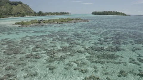 French Polynesia Small Island Moorea Tiahura Stock Footage 168730356