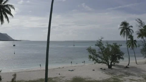 French Polynesian Beach Mo'orea Stock Footage 168723990