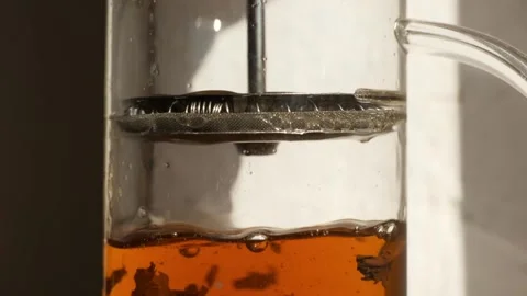French press close up tea brewing Stock Footage 245002892
