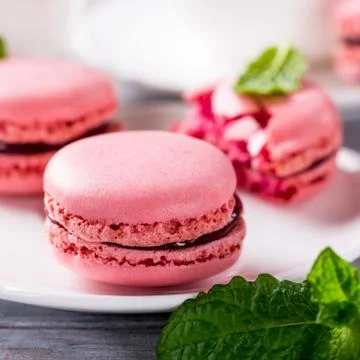 French raspberry macarons 스톡 사진