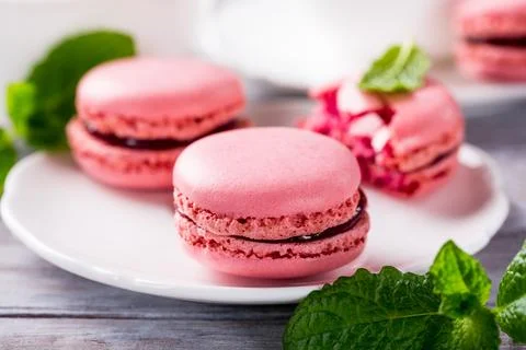 French raspberry macarons 스톡 사진
