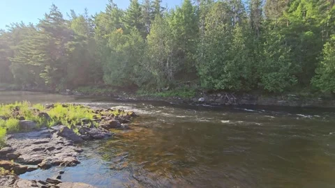 French River, Ontario Stock Footage 249471611