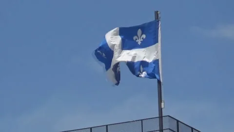 French royal flag Stock Footage 91505315