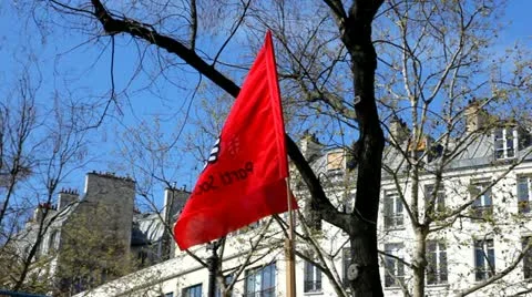French socialist flag Stock Footage 10882710