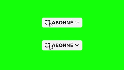 French Subscribe Animation Rectangle Button Green Screen 4K Video stock 334525005
