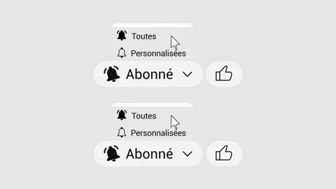 French Subscribe Pack - Like and Full Bell Notification Options - 4K  Alpha Stock Footage 329617044