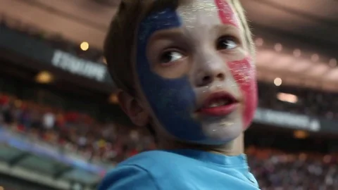 French supporter Stock Footage 83317366