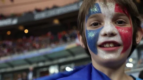 French supporter Stock Footage 83317449