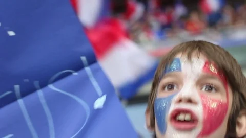 French supporter Stock Footage 83317613