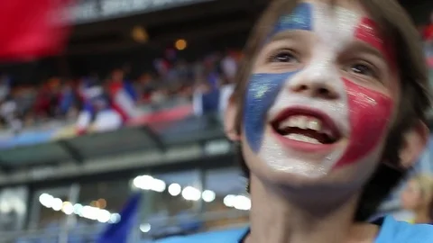 French supporter Stock Footage 83317714
