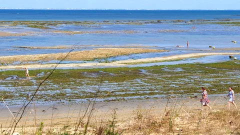 French tourists walking in a empty beach in a summer day at La Bree Les Bains Stock Footage 120508099