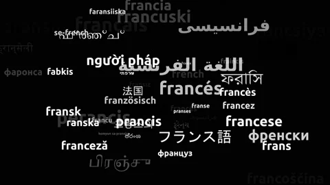 French Translated in 54 Worldwide Languages Endless Looping 3d Zooming Wordcl Video stock 145201757