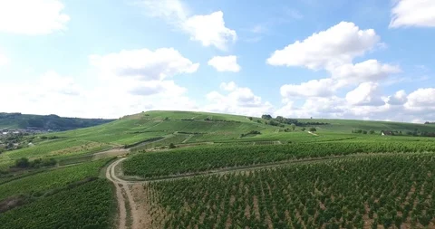French vines seen from the sky Stock Footage 85854334
