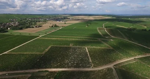French vines seen from the sky Stock Footage 85856119