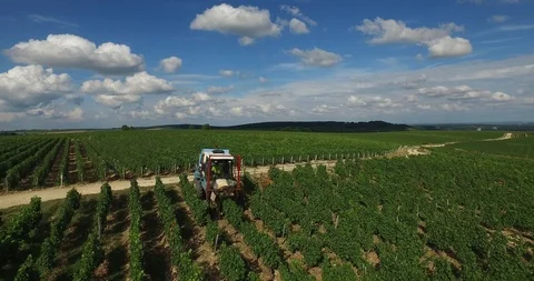 French vines seen from the sky Stock Footage 85856159