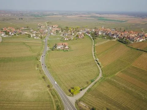 French Vineyard Stock Photos
