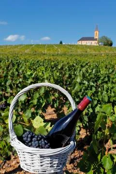 French wine Stock Photos