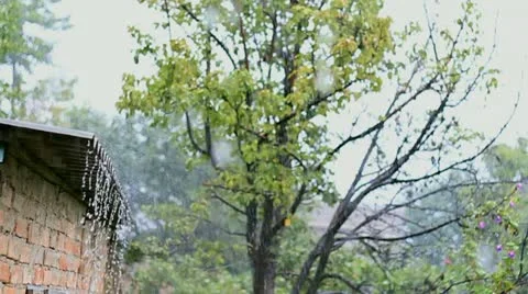 Frequent rain Stock Footage 21261080