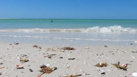 Frequent Waves Crashing on Shell Key Beach at Ground Level 스톡 동영상 188518162