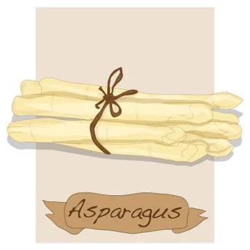 Fres asparagus vector Stock Illustration
