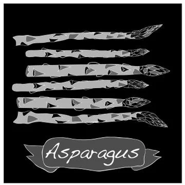 Fres asparagus vector Stock Illustration