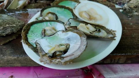 Fresh abalone shells with seafood meat arranged on white plate at market in 스톡 동영상 343712186