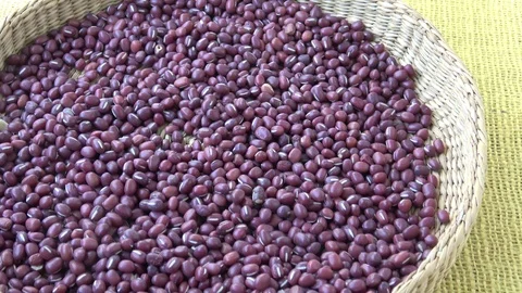 Fresh adzuki beans. Red beans in basket (Vigna angularis) Stock Footage 108736997