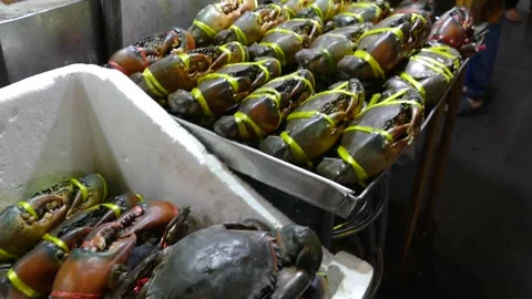Fresh Alive Mud Crab or Black Crab Display infront of Street Food Stall Видео 345097006