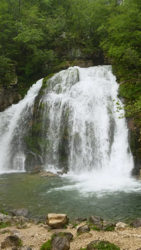 Fresh alpine cascade framed by vibrant spring vegetation Stock Footage 340541751
