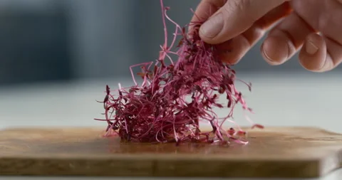 Fresh amaranth micro greens carefully picked by hand on rustic wooden board Vidéo 340185060