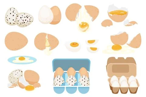 Fresh and Boiled Eggs 库存插图