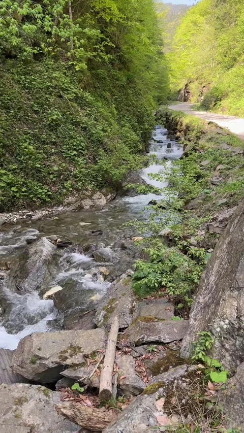 Fresh and clean mountain stream in Transylvania, Romania Stock Footage 277130927