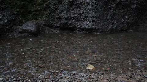 Fresh and Clear Water Stock Footage 111854950