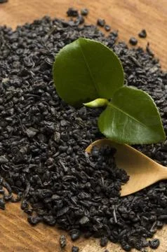 Fresh and dried tea Stock Photos