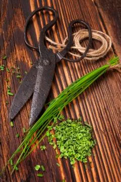 Fresh and dry chives herb. Stock Photos