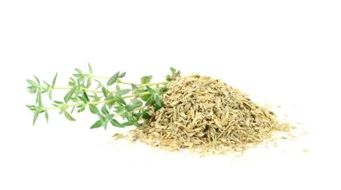 Fresh and dry thyme Stock Photos