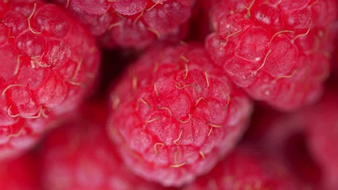 Fresh and juicy raspberry background. Fresh delicious red raspberries. Stock Footage 157485958
