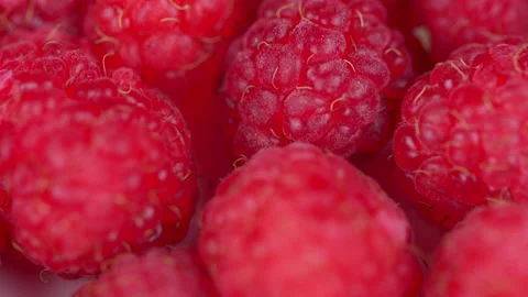 Fresh and juicy raspberry background. Fresh delicious red raspberries. Stock Footage 157500614