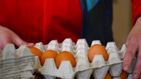 Fresh and raw chicken eggs on a conveyor belt, being moved to the packing house Video stock 84832446