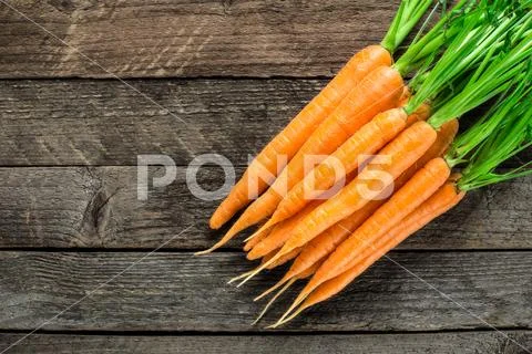 Fresh and sweet carrot Stock Photos
