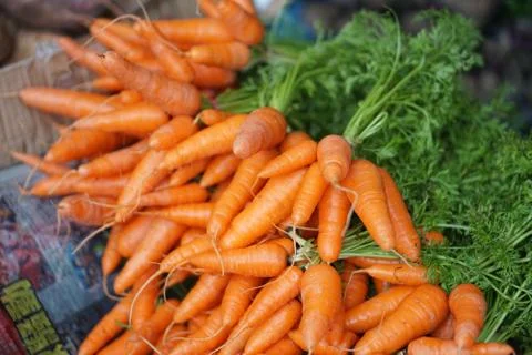 Fresh and sweet carrot for sale on local market. Selective Focus Stock Photos