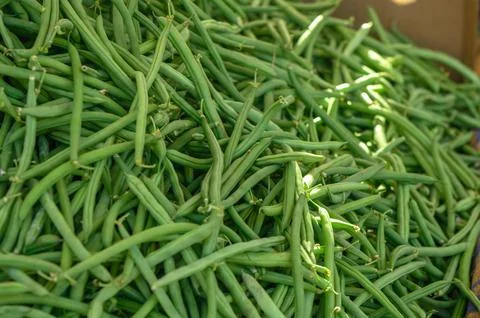 Fresh appetizing green beans at the bazaar on the island of Cyprus in autumn  Stock Photos