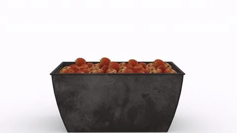 Fresh apple in container with white background Stock Photos