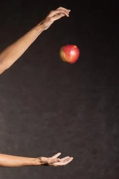 Fresh apple falling between two female hands Stock Photos
