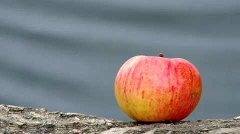 Fresh apple on a gray background Stock Footage 41347235