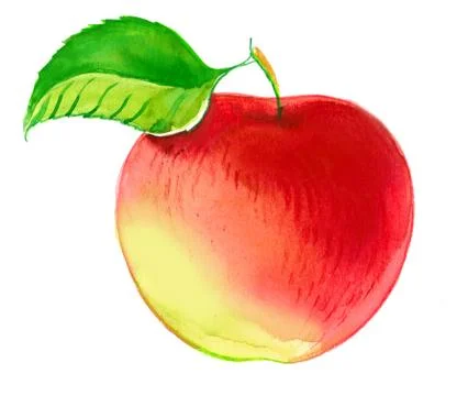 Fresh apple Stock Illustration
