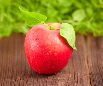 Fresh apple Stock Photos