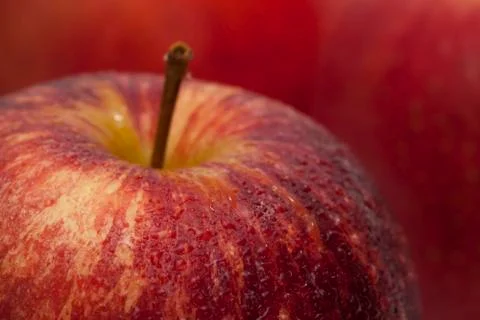 Fresh apple Stock Photos