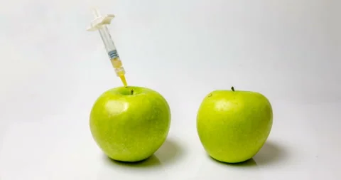 A fresh apple with a syringe and a decaying apple during, time laps, the concept Stock Footage 104149386